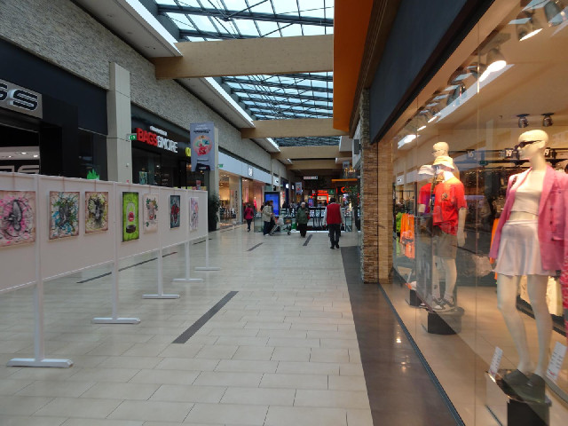 This time I've come inside to use the toilet.