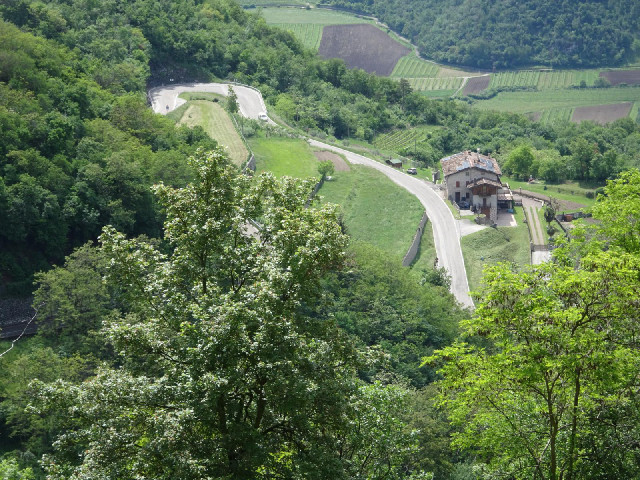 Looking back down towards where I took the previous picture.