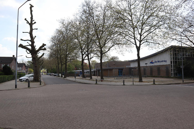 Drie Decembersingel has a swimming pool in it.