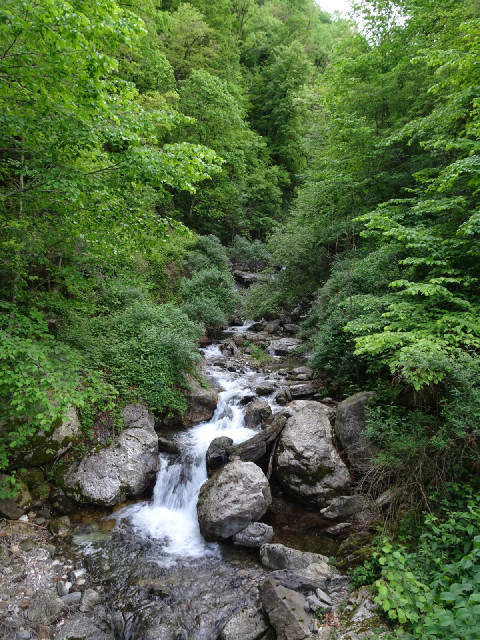A mountain stream.