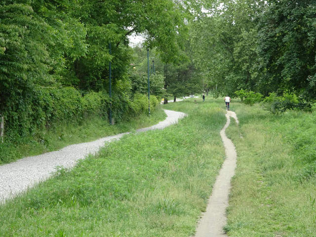 Paths through a park.