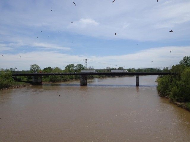 The Red River, with the Interstate bridge and a pipeline bridge, and a lot of swallows. I encountere...