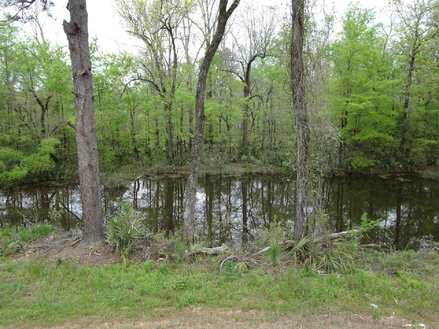 I'm still crossing swampy land.