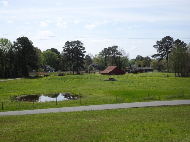 Scenery, including some horses. From what I'm standing next to, I can also conclude that a horse has...