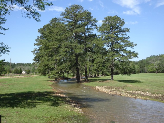 I think this stream is probably more full than usual today.