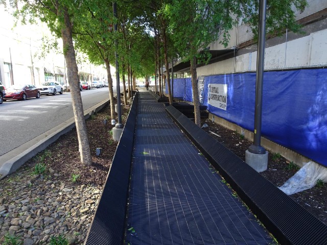 Here's the boardwalk but I think I'm too late. It seems to have already handled all the rain which f...