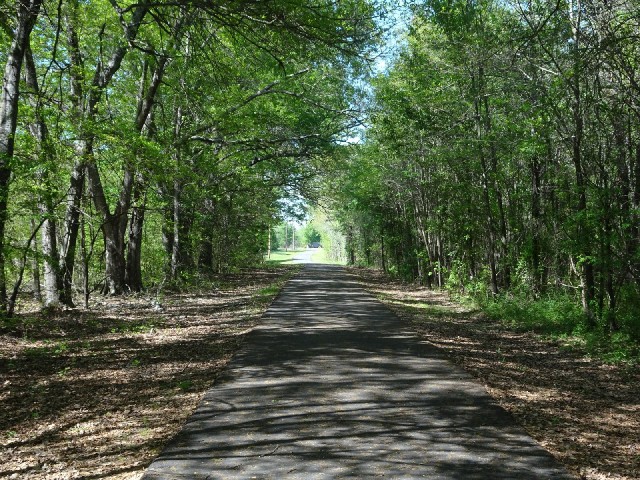 The same path. It even has benches in this shady part.