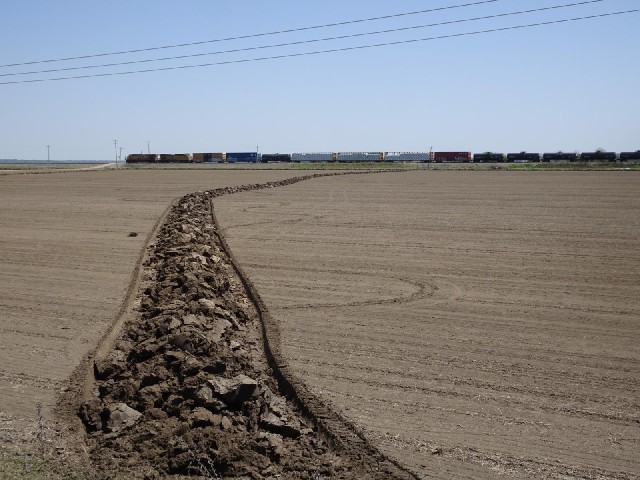 ... it's just churning up wiggly trenches of soil like this.