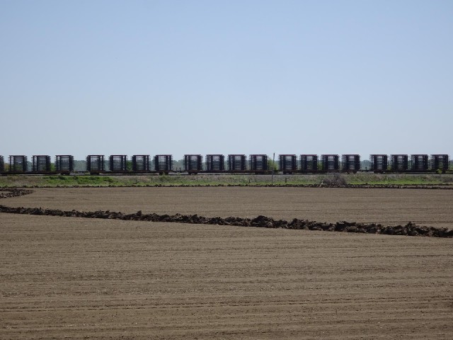 A lot of empty pallets on the train going past.