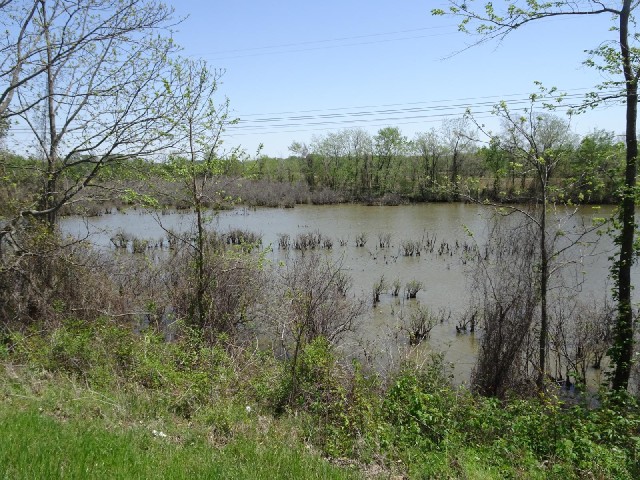 Now the land on one side of the road is this swampy bayou which looks like something out of the Deep...