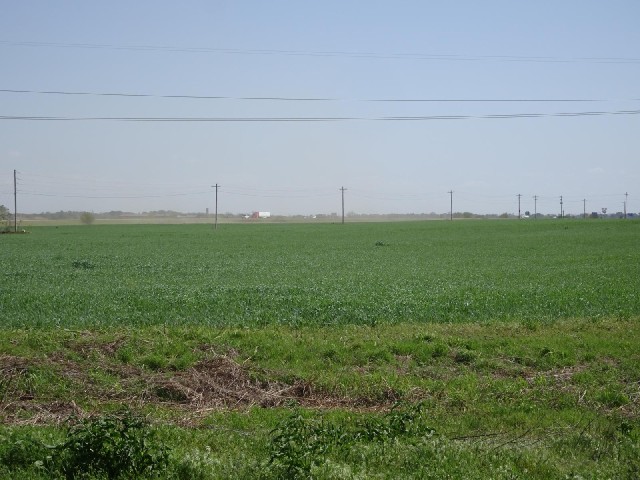 The air around the main road looks rather dusty. I'm glad I didn't come that way.