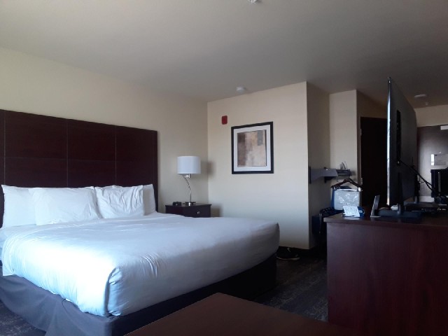 I could have stayed in a cheaper hotel in the town centre but I've got a video meeting scheduled for...