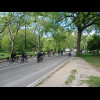 The one-way road for bikes and horses which does a big loop within Central Park. I used it in 2007.