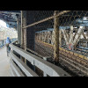 The bike path on the Manhattan Bridge is on the lower level next to these Subway tracks.