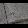 ... whereas the pavement nearby has this elephant.