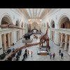 The Field Museum.