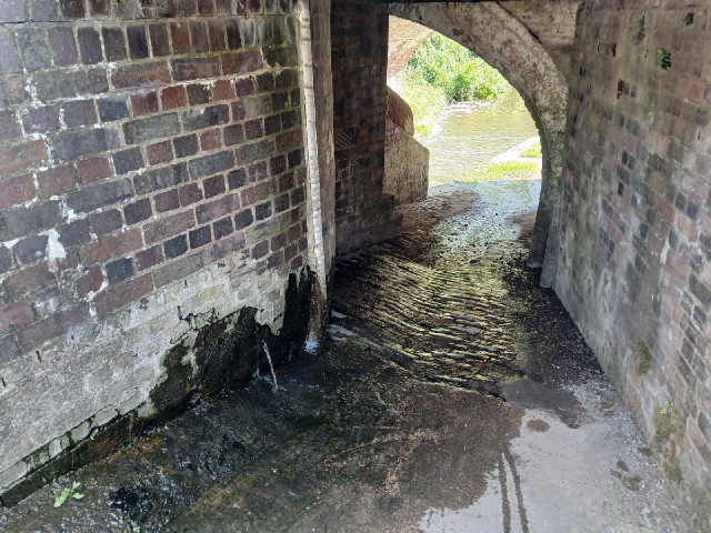 Here one of the locks is leaking and water is running onto the towpath.