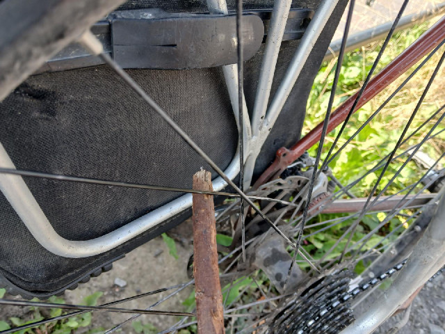Another spoke has broken. This time I know what caused it. It was this stick.