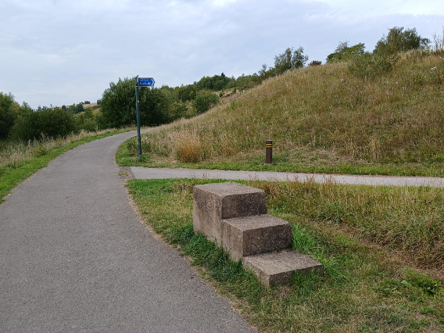 It's one of those platforms for getting on or off a horse.
