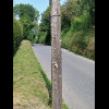 This pole has had a lot of notices stapled to it over the years.