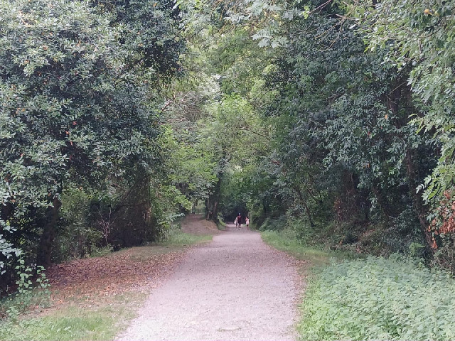 This can't be the medieval pilgrimage route. It feels a lot more like a disused railway line...