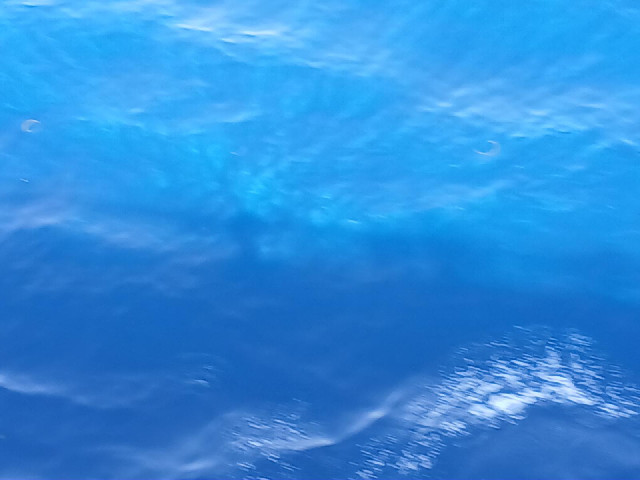 i can see my own shadow on the water though.