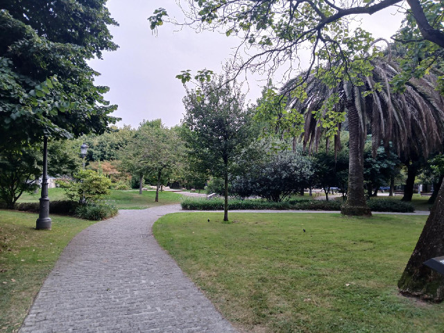 A park.