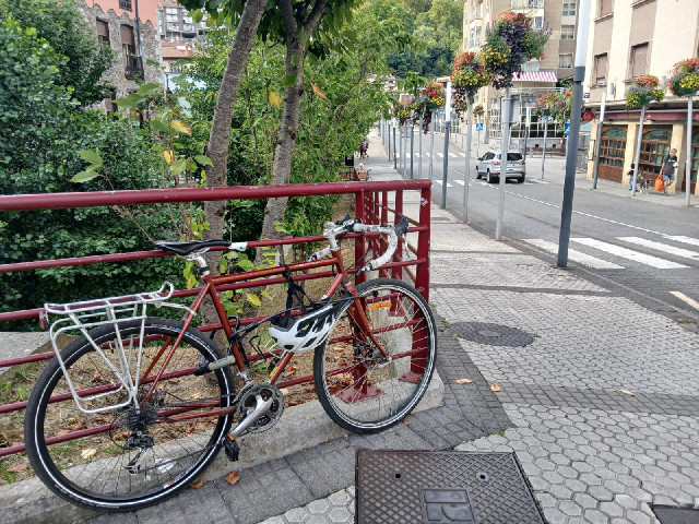 My bike, blending in.