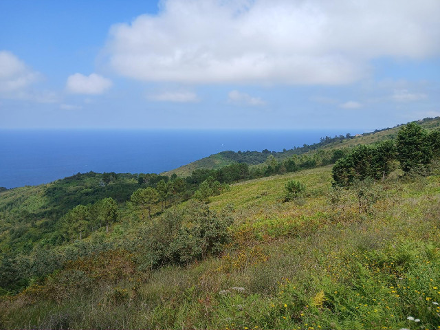 A view of the sea.