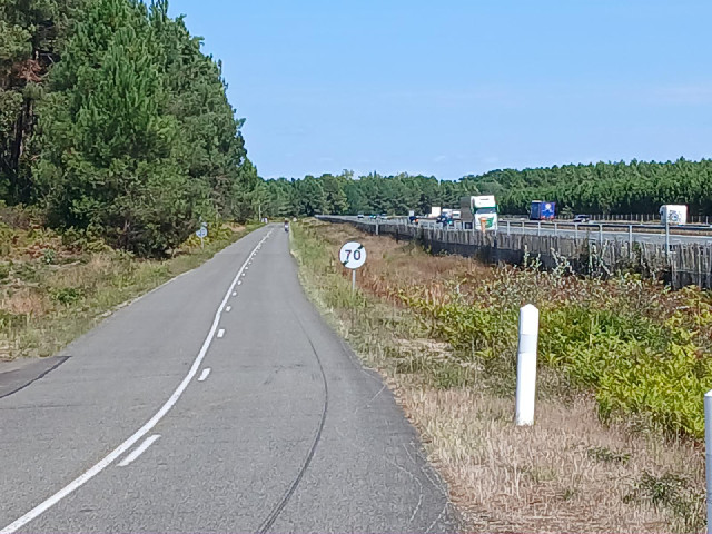 There's another cyclist in the distance in front of me. He can't have stayed on this road for very l...