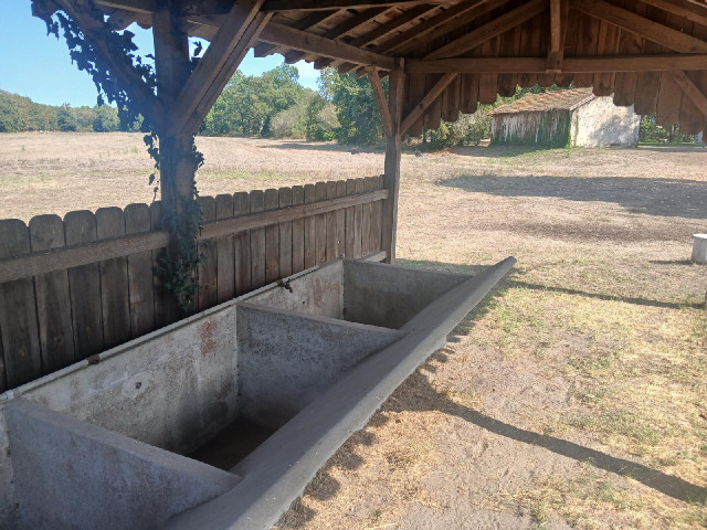 Instead, I'm getting some shade from this structure which contains a large concrete trough.