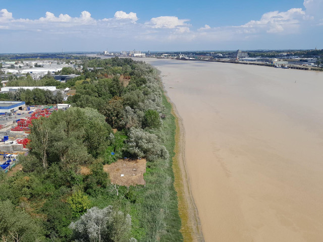 When I saw the exposed mud along the side of the river, I thought it might be a symptom of the long ...
