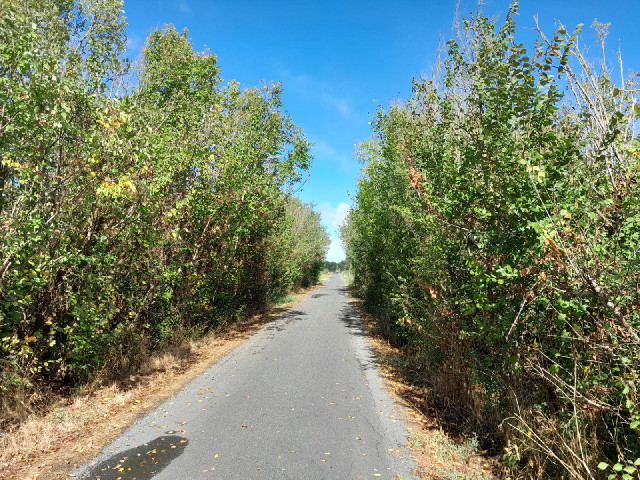 Part of today's route.