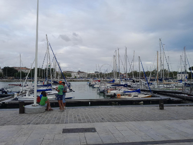 The marina.