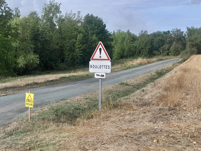 I didn't see any horse-drawn carts.