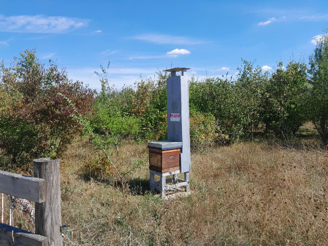 "WARNING: BEES".