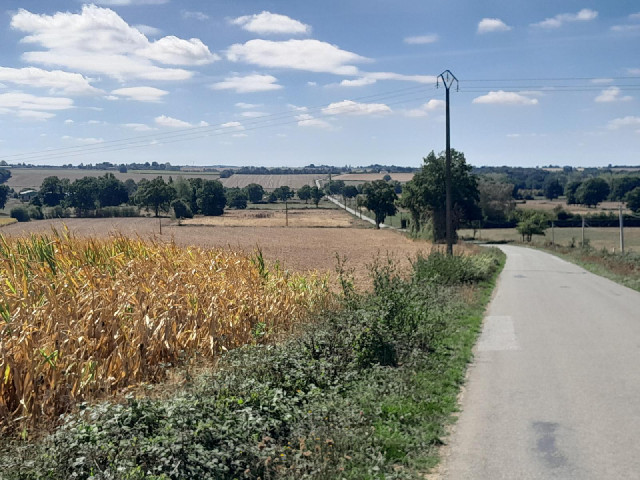 Another view back along the way that I have just come.