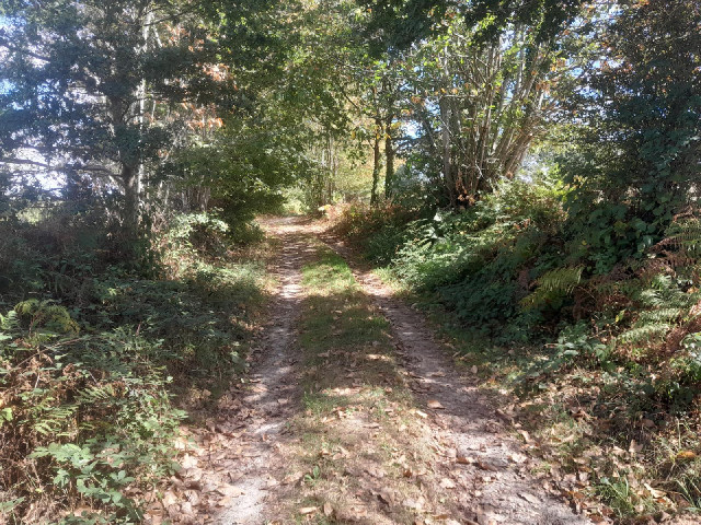 Normally if the software suggested using a path like this I would ignore it and go a different way. ...