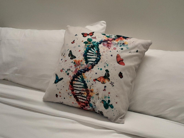 The cushion in my room.
