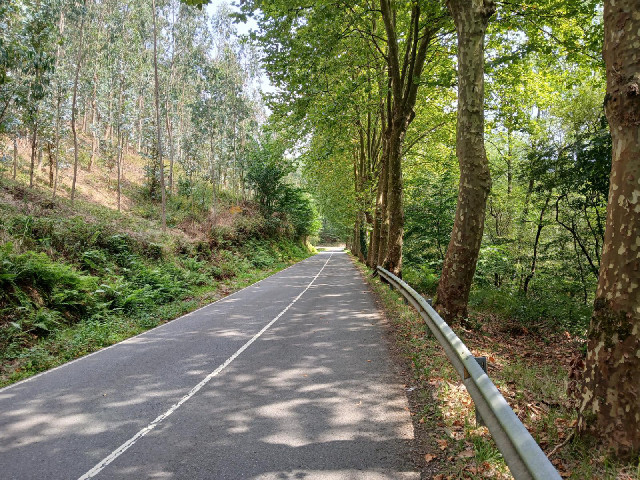 This bit of road is refreshingly cool.