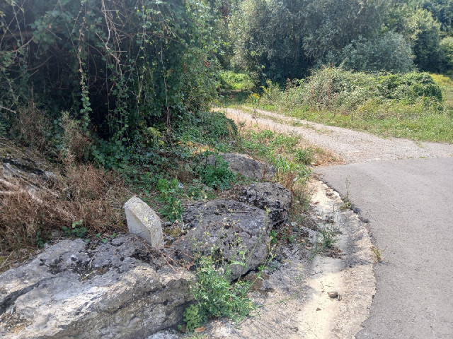 One of many signs for the Camino which I saw today, all pointing the opposite way to the way that I'...