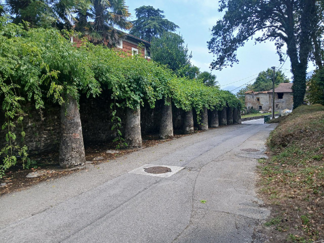 An old shaded walkway.