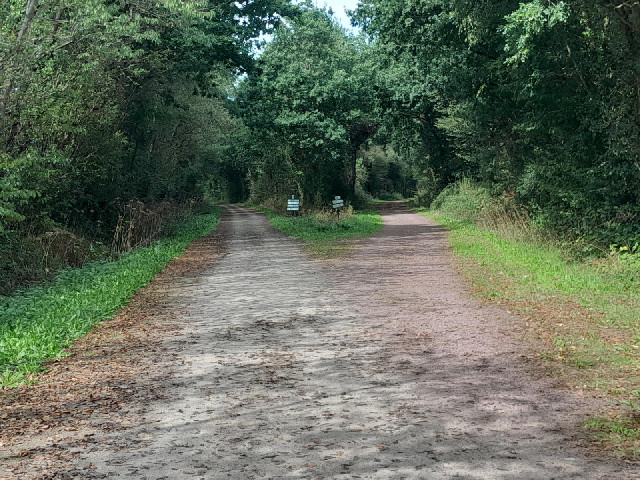 A fork in the track but this one is well signposted.