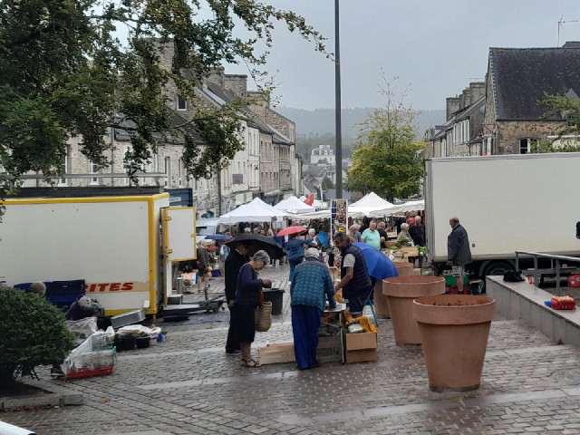 Oh, Monday must be market day in Bricquebec. The cage in the bottom left of the picture has live dov...