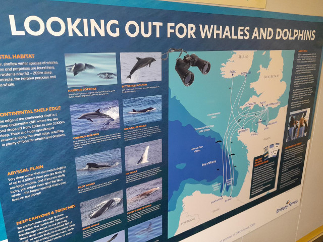This ship has an information board explaining where different types of whales and dolphins might be ...