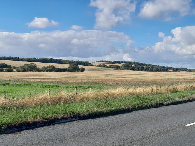 Wiltshire scenery