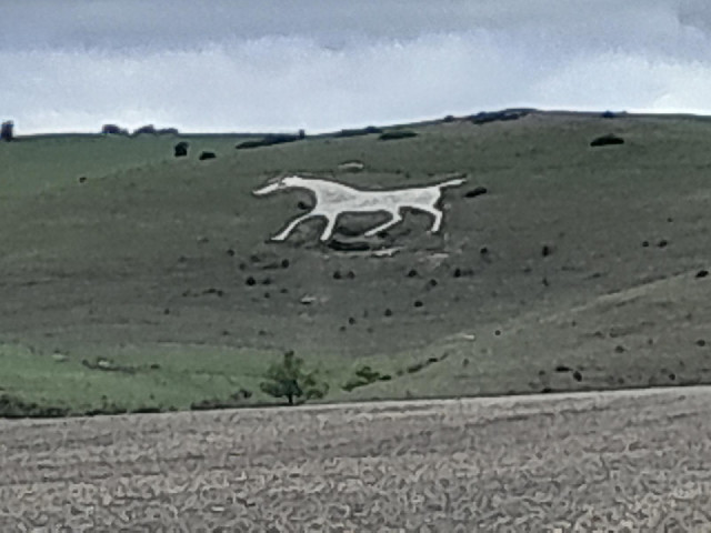 This is what that white spot was: the Alton Barnes white horse, one of eight which are carved in cha...