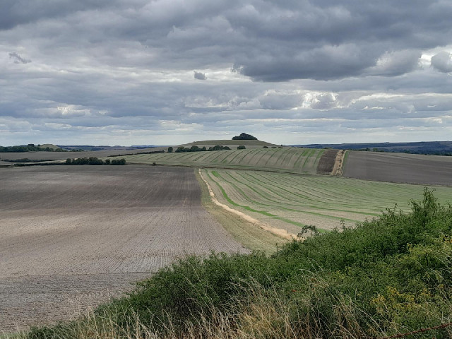 Downland.