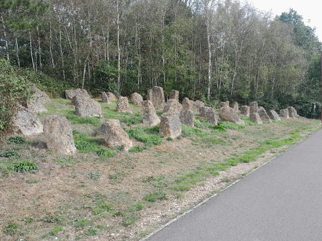All I know about these is what the sign says, which is:...