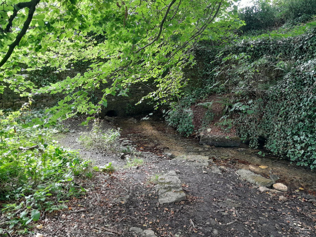 Almost immediately after emerging from the springs, the water disappears into that dark pipe to go u...
